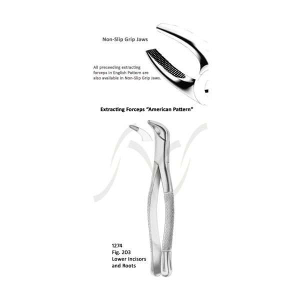 American Lower Incisors and Roots Fig 203