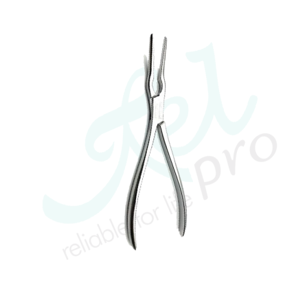 Asch Septum Straightening Forceps – 22 cm | Relpro-UK