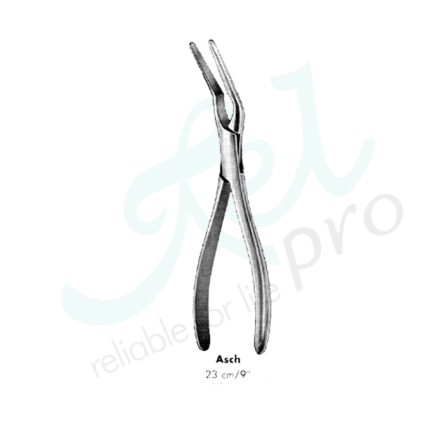 Asch Septum Straightening Forceps – Detachable | Relpro-UK