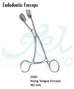 thumbnail image 2 of DDP Young Tongue Forceps – Locking Surgical Oral Instrument – Made In Pakistan 2 of 4