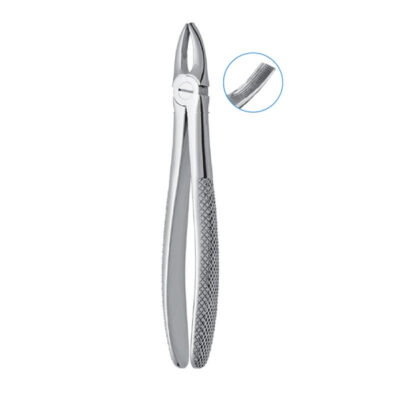 SPECIAL ENGLISH PATTERN EXTRACTING FORCEPS