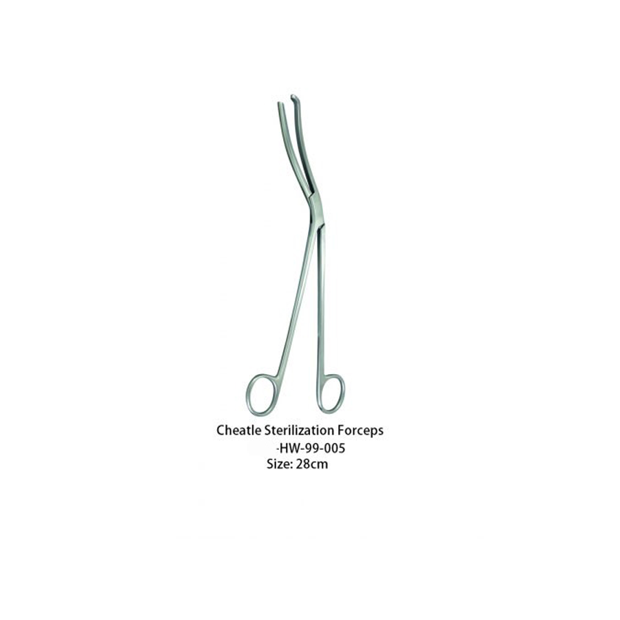 Cheatle Sterilizing Forceps 28cm Size:28cm