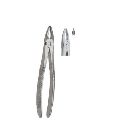 Extracting Forceps Upper Incisors And Deep Premolar Gripping Fig 34